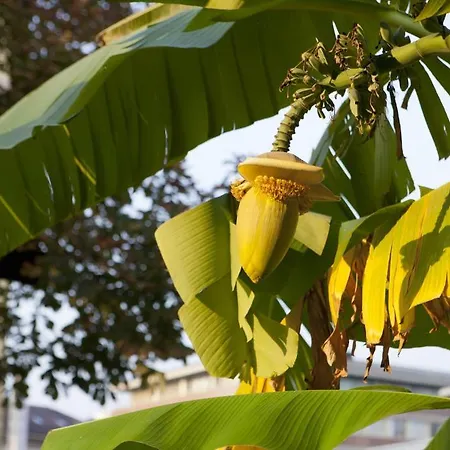 Hotel Zurigo Downtown