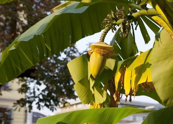 Otel Zurigo Downtown