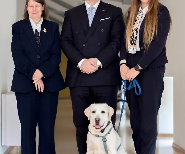 Zurigo Downtown Готель