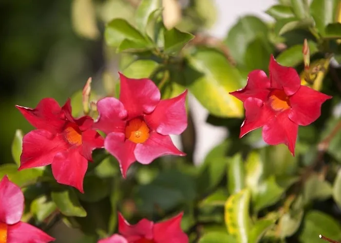 Zurigo Downtown 3* Lugano